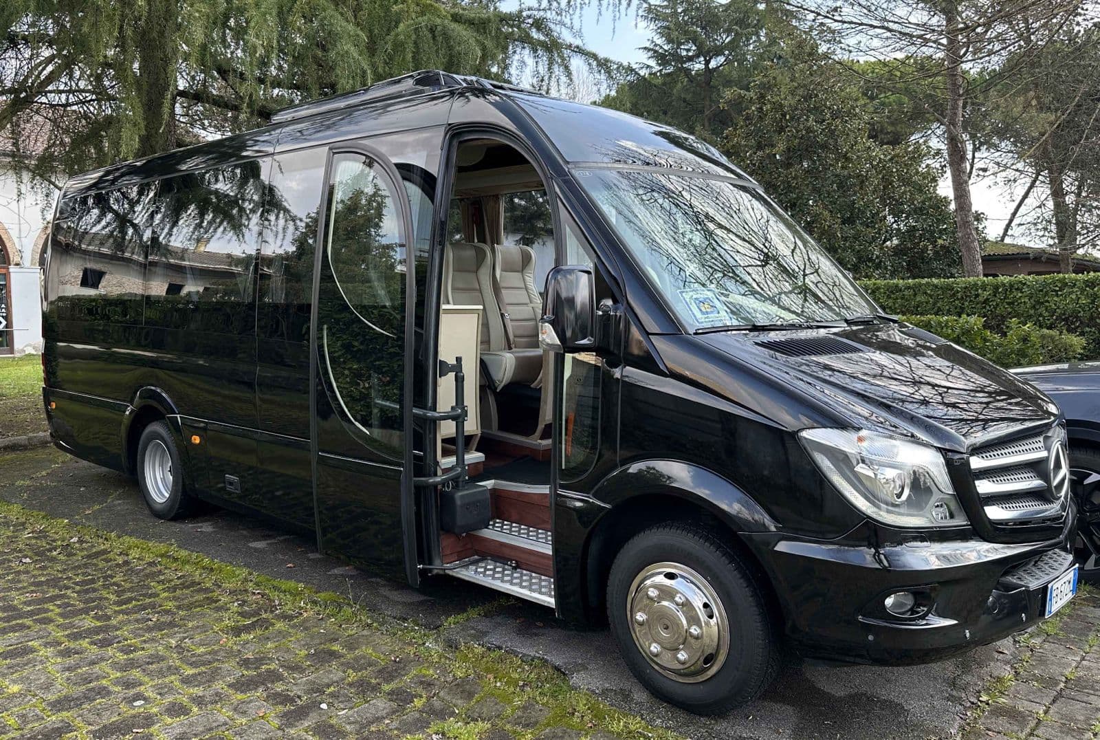 Mercedes Sprinter VIP