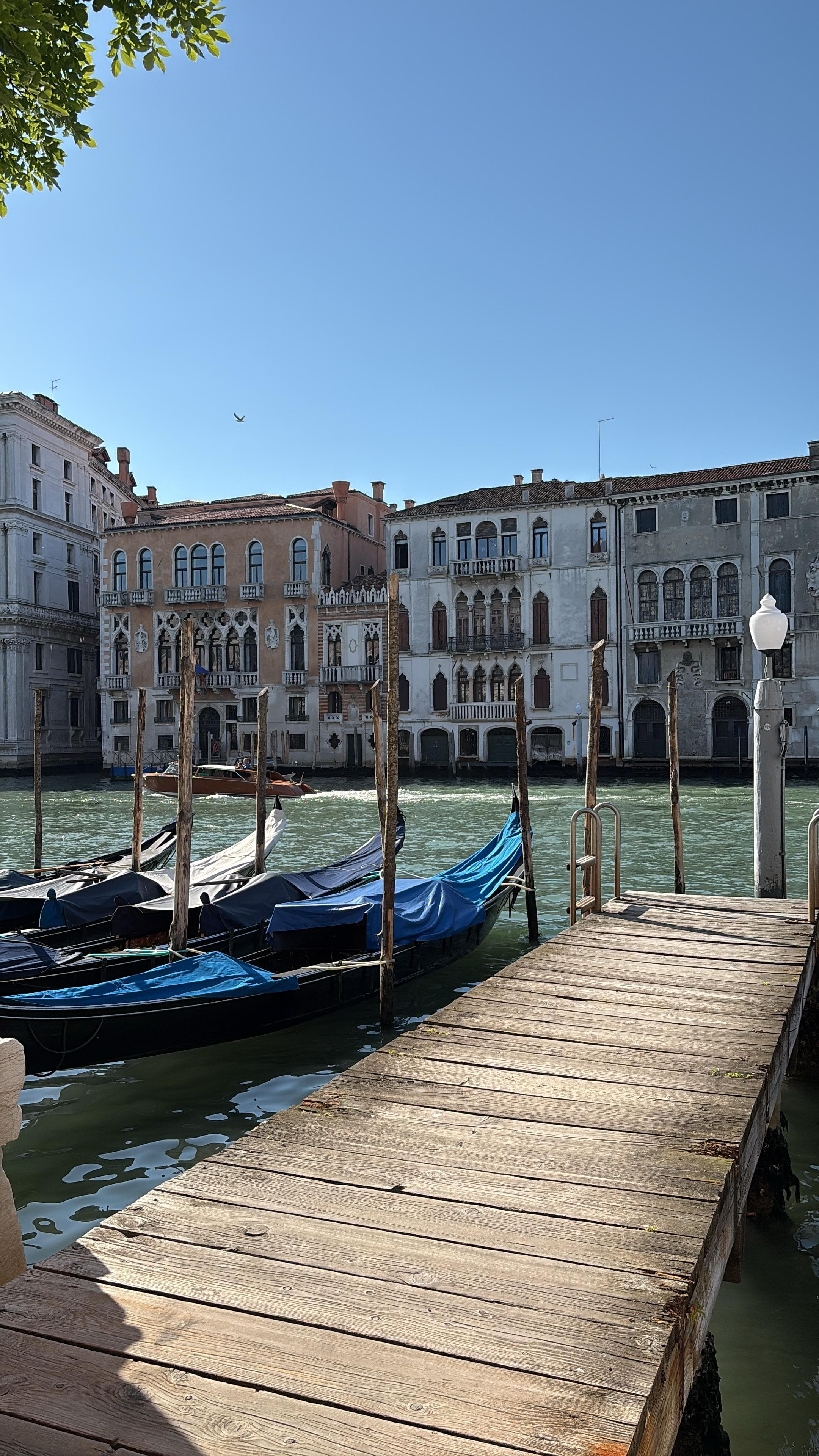 Venise Grand Canal